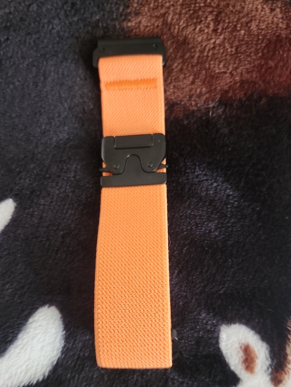 Orange Elastic Strap with Black Metal Buckle